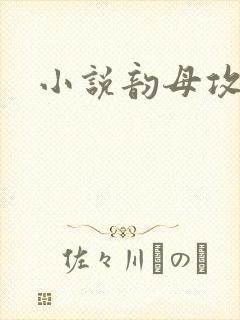 小说韵母攻略封面