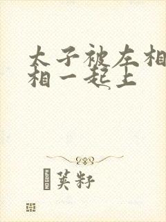 太子被左相和右相一起上