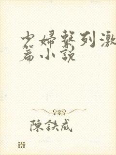 少妇系列激情短篇小说