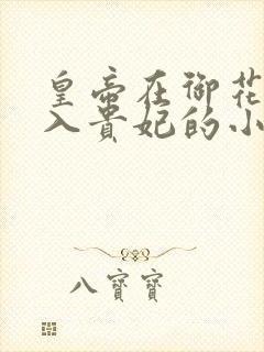 皇帝在御花园进入贵妃的小说封面