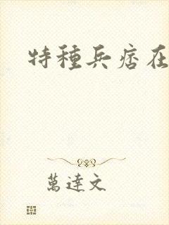 特种兵痞在都市