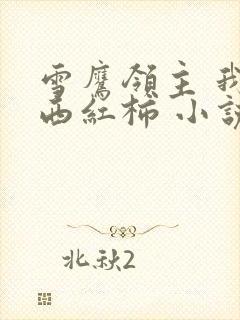 雪鹰领主 我吃西红柿 小说