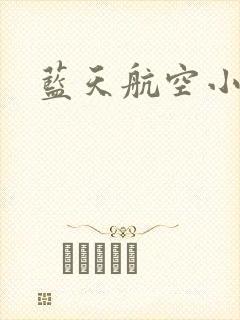 蓝天航空小说封面