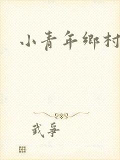 小青年乡村猎艳封面