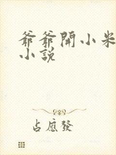 爷爷开小米的包小说封面