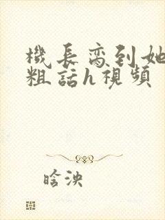 机长脔到她哭h粗话h视频