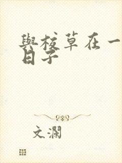 与校草在一起的日子