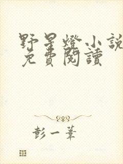 野星灯小说全文免费阅读