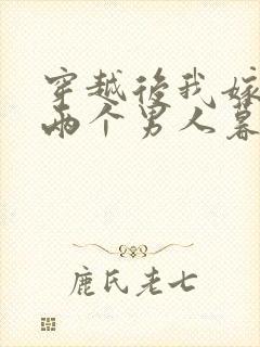 穿越后我嫁给了两个男人暮色酒歌