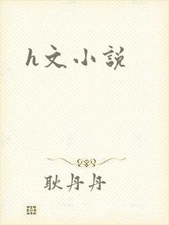 h文小说