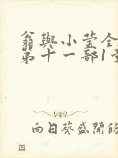 翁与小莹全目录第十一部1章