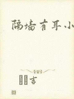 隔墙有耳小说封面