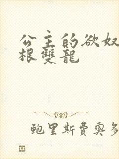 公主的欲奴h四根双龙