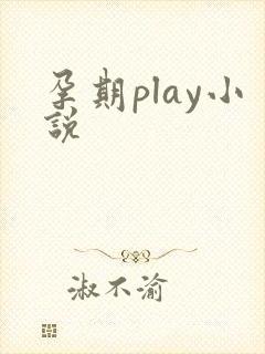 孕期play小说