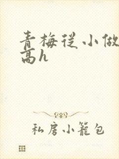 青梅从小做到大高h