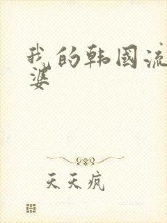 我的韩国流氓老婆封面