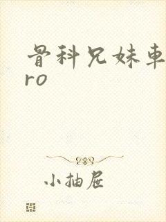 骨科兄妹车多pro