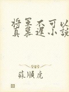 将军不可以魏云真慕迟小说笔趣阁