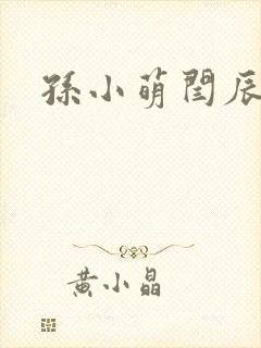 孙小萌闫辰封面