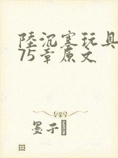 陆沉塞玩具高速75章原文