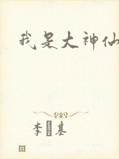 我是大神仙小说封面