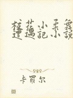 校花小柔舞蹈室遭遇记小说