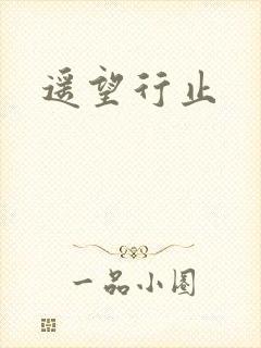 遥望行止