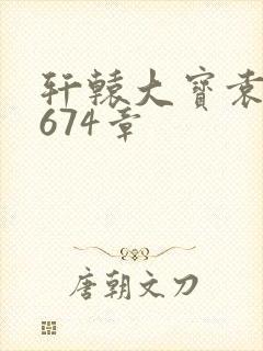 轩辕大宝袁雪妃674章