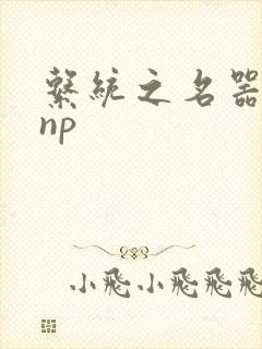 系统之名器攻略np