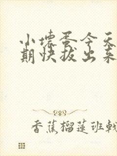 小坏蛋今天危险期快拔出来