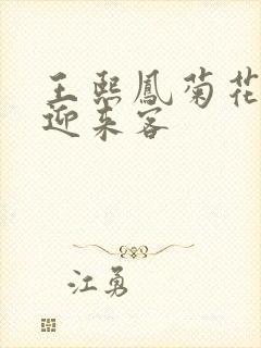 王熙凤菊花门初迎来客