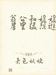 翁公和媛媛在厨房里猛烈进出