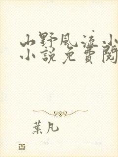 山野风流小神医小说免费阅读