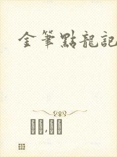 金笔点龙记封面