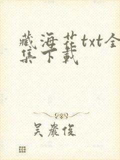 藏海花txt全集下载