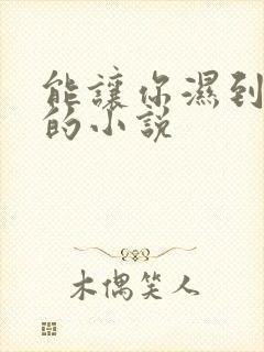 能让你湿到不行的小说