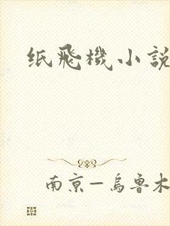 纸飞机小说
