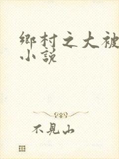 乡村之大被同眠小说封面