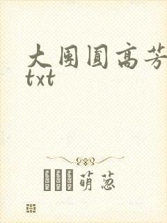 大团圆高芳小说txt