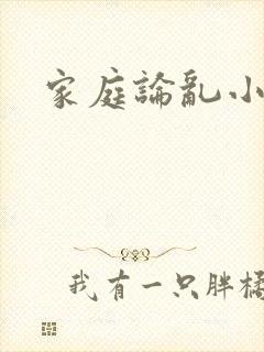 家庭论乱小说封面