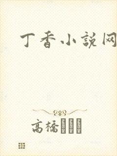 丁香小说网