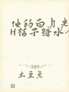 他的白月光HVH桔子糖水全文