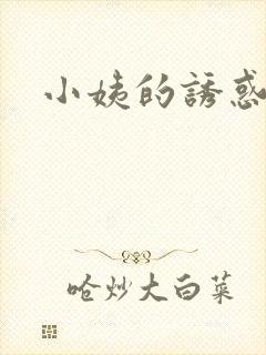 小姨的诱惑小说