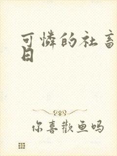 可怜的社畜东度日