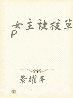女主被校草们NP