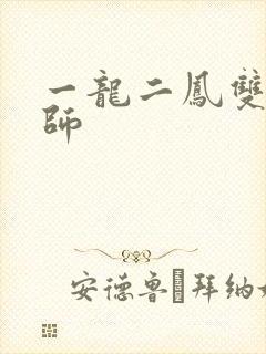 一龙二凤双飞老师