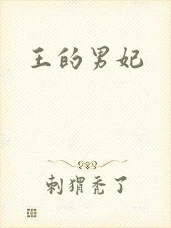 王的男妃封面