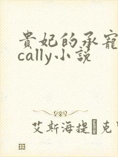 贵妃的承宠日常cally小说封面