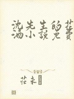 沈先生的花式调酒小说免费阅读