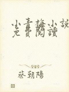 小青梅小说全文免费阅读封面